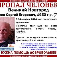 В Великом Новгороде уже год идут поиски 71-летнего мужчины