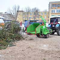 В Великом Новгороде живую новогоднюю ёлку можно будет утилизировать по нескольким адресам