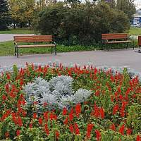 «Великоновгородский мясной двор» помог благоустроить одно из пространств города