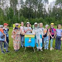 Новгородские гимназисты погрузились в жизнь пчёл
