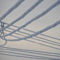 Жителей Новгородской области предупредили о приближающихся заморозках Жителей Новгородской области предупредили о приближающихся заморозках