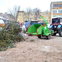 Жители Великого Новгорода могут сдать живые ели на переработку
