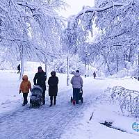 Зима отменяется. Срочная новость о погоде для жителей России